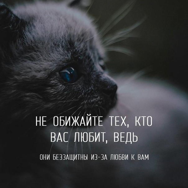 Открытки не обижай меня любимый