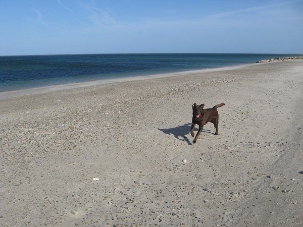 Деревенская Америка Деревенская Америка заграница,путешествие,страны,туризм