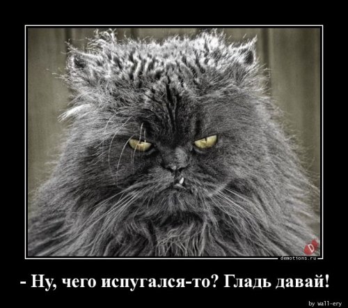 Всякое бывало, но чтоб на Святого Николая комары покусали... чтобы, изменить, мороженое, пирацетам, носки, найти, принять, когда, взрослая, проще, сказали, вопрос, феназепам, Tesla, будут, Сейчас, забыть, главное, Свобода, помоги