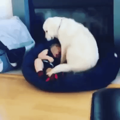 Анимированные приколюхи. Веселье на целый день! смешные картинки