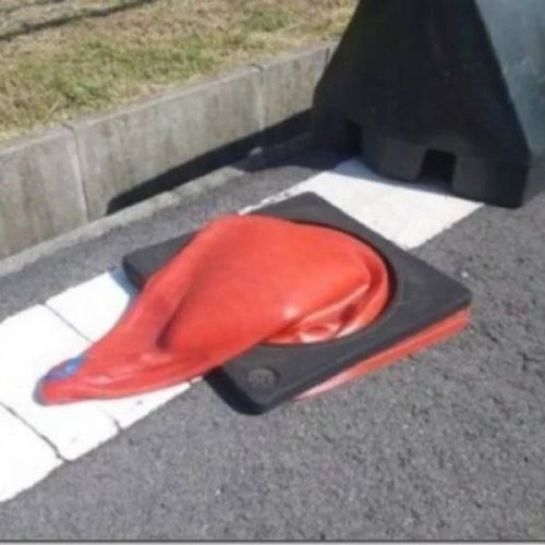 22 жаркие летние фотографии, чтобы согреться 