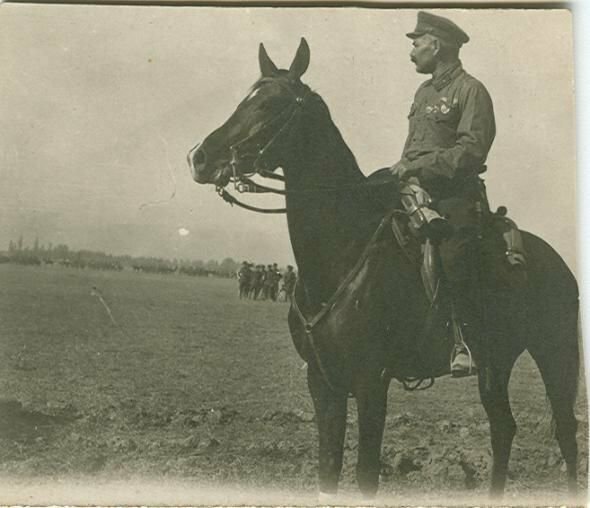 Как наши кавалеристы в 1942 году порубили три румынских полка война и мир