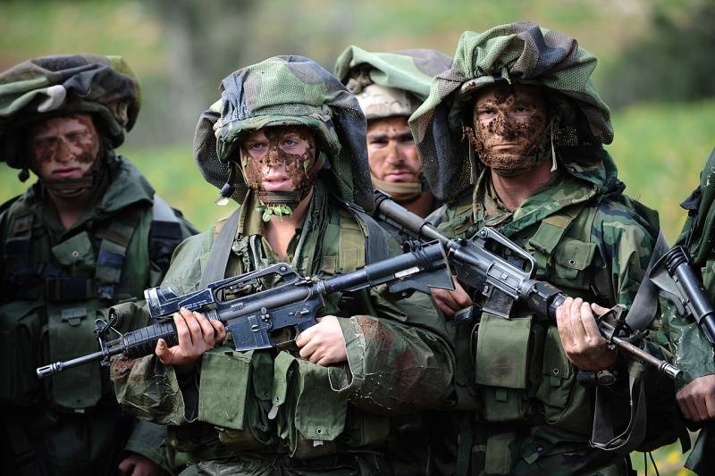 Защита и маскировка: израильский мицнефет оружие
