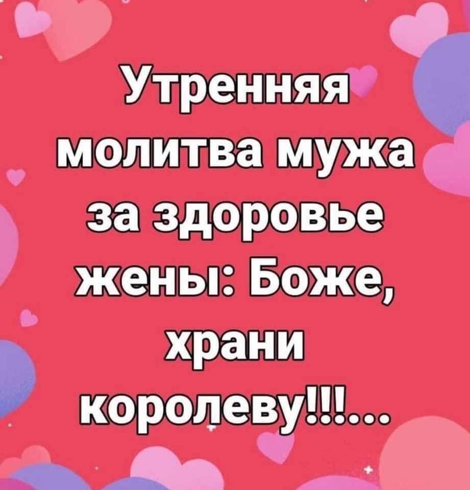 Подборка разных веселостей Подборка разных веселостей