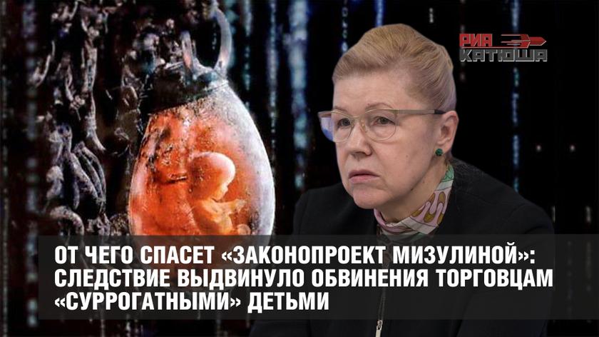 От чего спасет «законопроект Мизулиной»: следствие выдвинуло обвинения торговцам «суррогатными» детьми