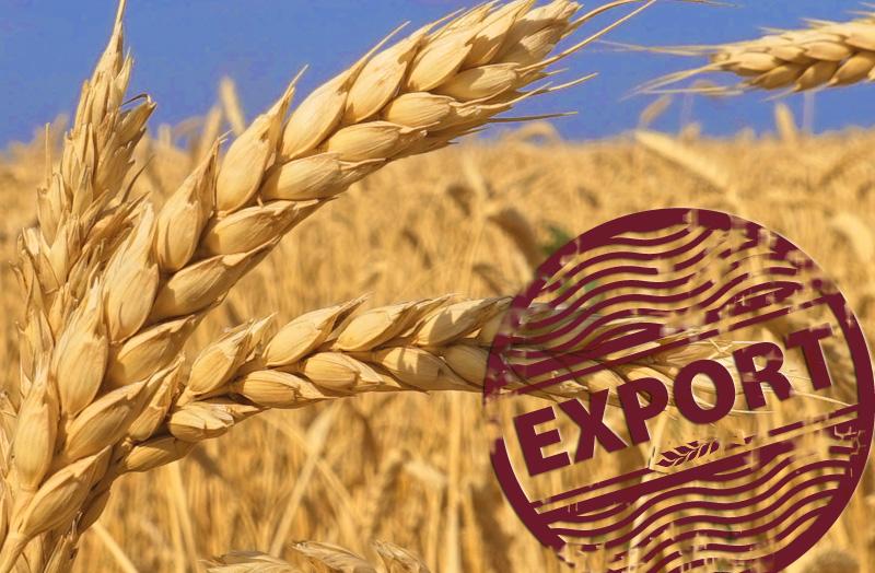 Российская пшеница будет продаваться на иранском рынке Российская пшеница будет продаваться на иранском рынке