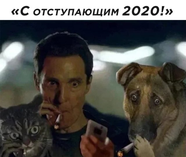 Шутки, мемы и картинки про Новый год 2021  смешные картинки,фото-приколы,юмор