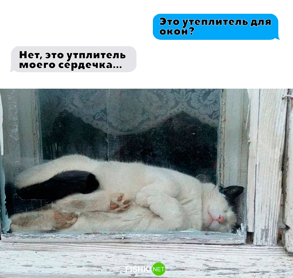 Утрешние юморные картинки Утрешние юморные картинки