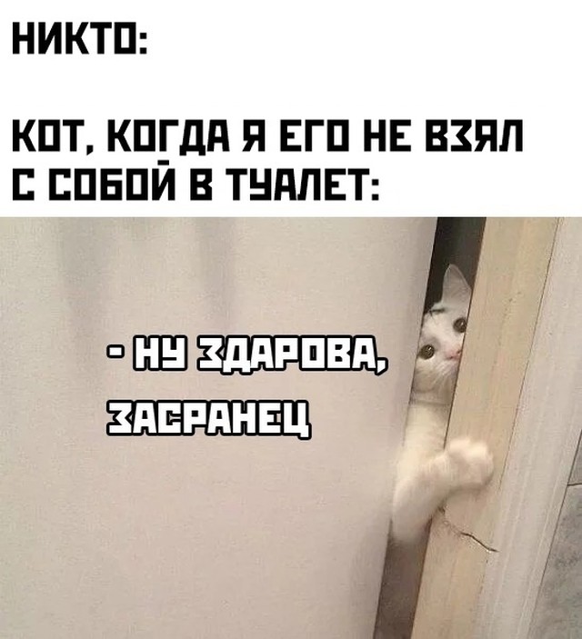 Подборка прикольных картинок  приколы,смешные картинки,юмор