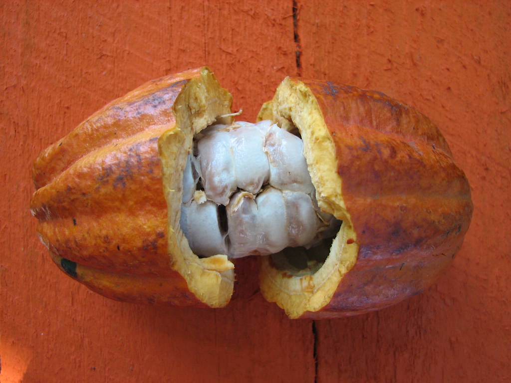 Расширяем кругозор и познания о нашем мире за несколько секунд Расширяем кругозор и познания о нашем мире за несколько секунд