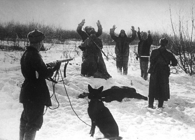 Феномен пограничника Карацупы Феномен пограничника Карацупы история