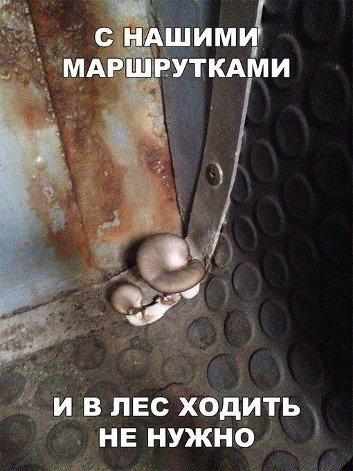 Прикольные свежие картинки с надписями 