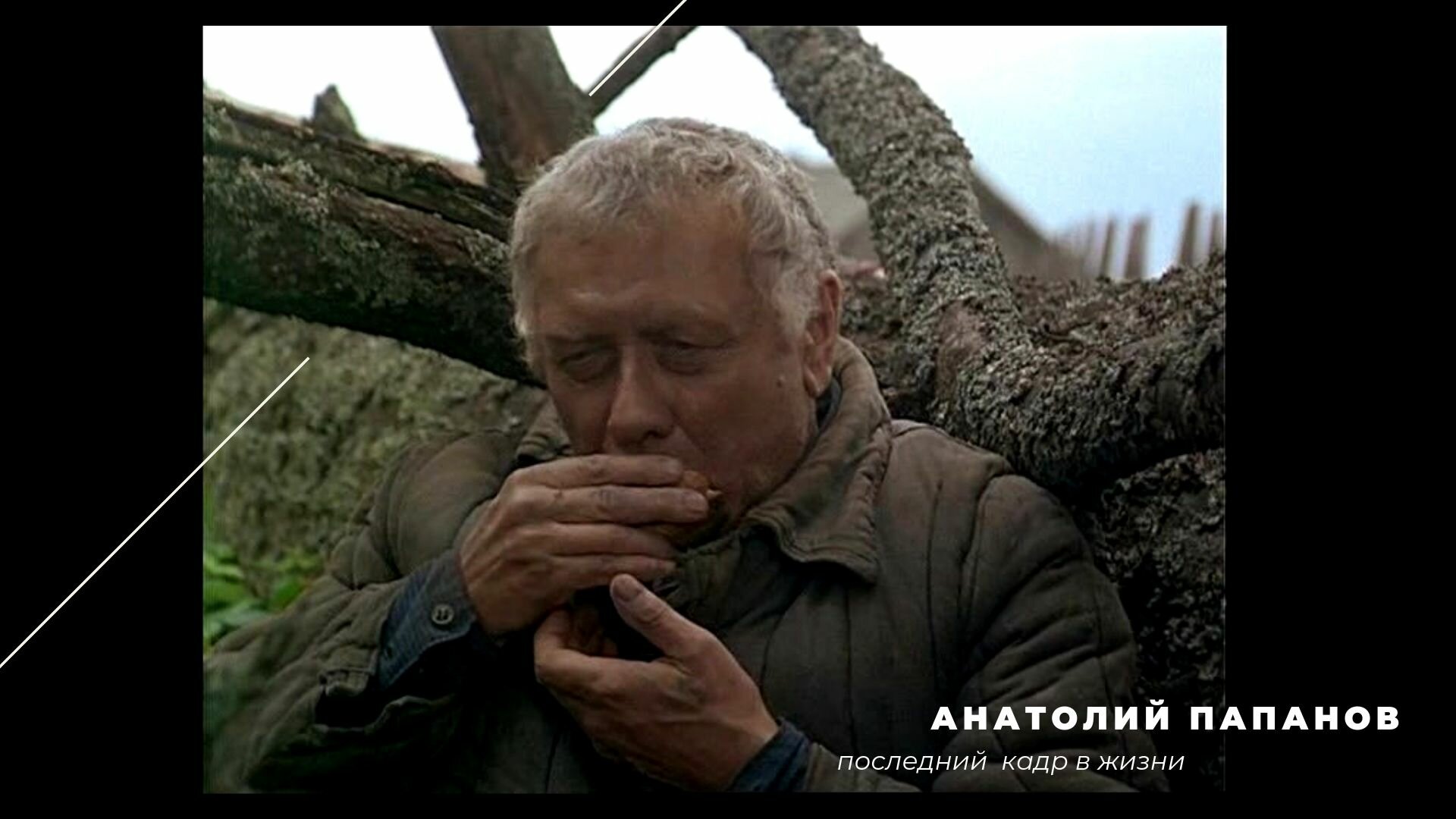 Анатолий Папанов - последний кадр в кино