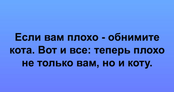Коллекция анекдотов для волны позитива