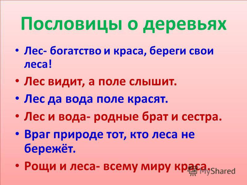 Подбери поговорки. Пословицы. Пословицы о природе. Пословицы и поговорки о природе. Пословицы о деревьях.