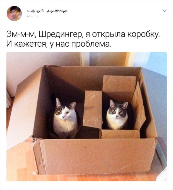 Подборка забавных твитов о науке Подборка забавных твитов о науке позитив,смешные картинки,юмор