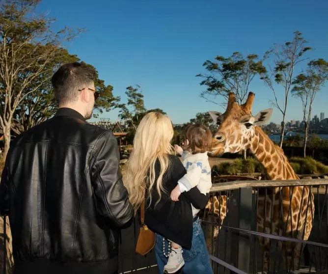 Семья Лохан и Шаммас