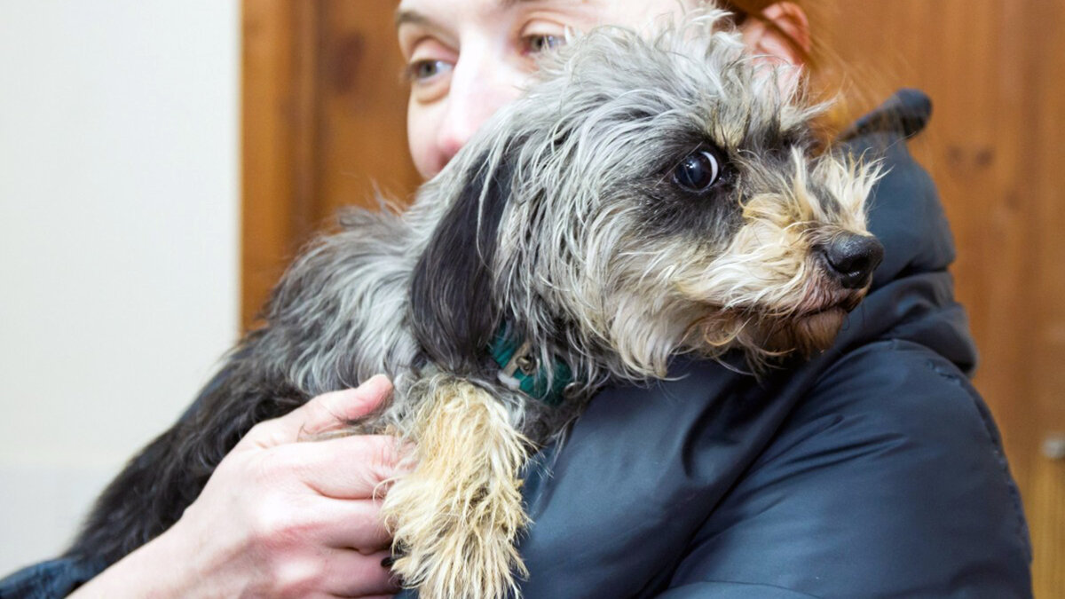 Я его здесь не брошу