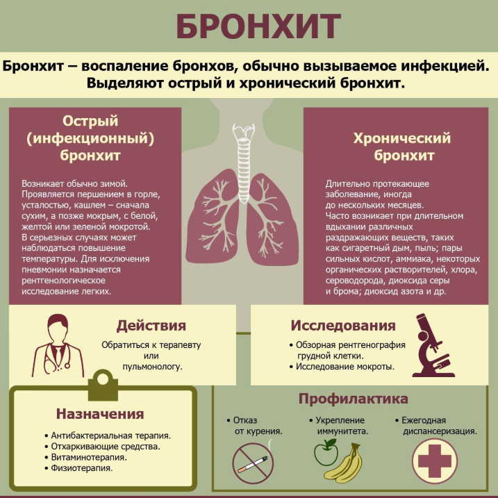 Как вывести мокроту из легких простыми средствами