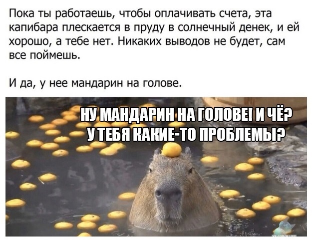 ОТПУСК/КАНИКУЛЫ ОТПУСК/КАНИКУЛЫ