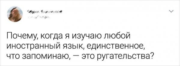 Подборка забавных твитов об изучении иностранных языков