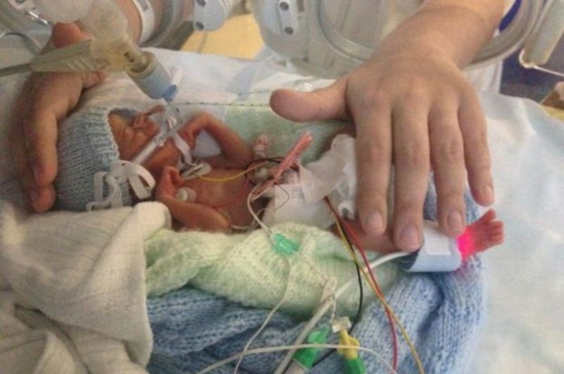 Больше чем фото Больше чем фото дети,животные,моменты,общество,фотография,эмоции