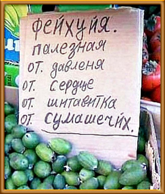 Если человек лишён чувства юмора, значит было за что Учитель, ответить, когда, Затем, следующий, сказал, никто, возможно, очень, работу, почти, Ученик, узнаете, через, проверить, Копаев, должен, просунуть, дороги, учеников