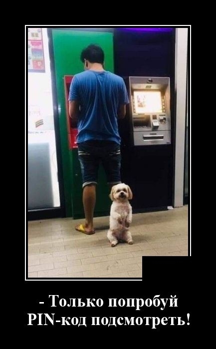 Демотиваторы на 20 мая Демотиваторы на 20 мая