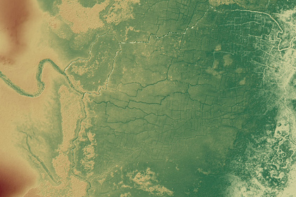 Сельскохозяйственные технологии цивилизации майя влияли на окружающую среду Сельскохозяйственные технологии цивилизации майя влияли на окружающую среду