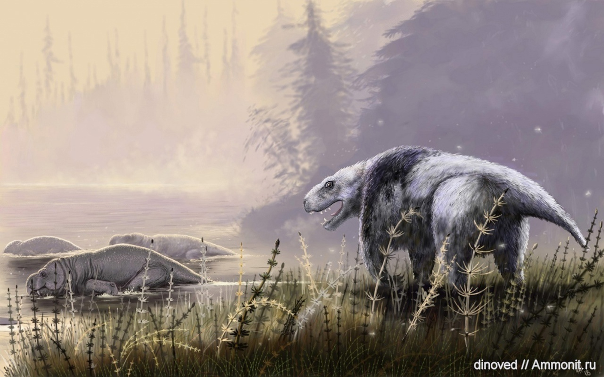 Ребят, что ж вы делаете-то! Тут же табличка, «купаться запрещено»!