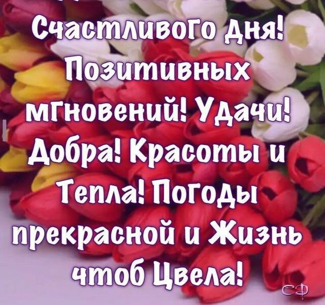 Для тех кто любит и ценит хороший юмор