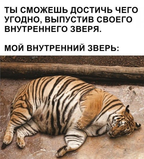 Фото-приколы дня Фото-приколы дня