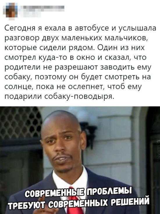 Подборка смешных картинок Подборка смешных картинок смешные картинки