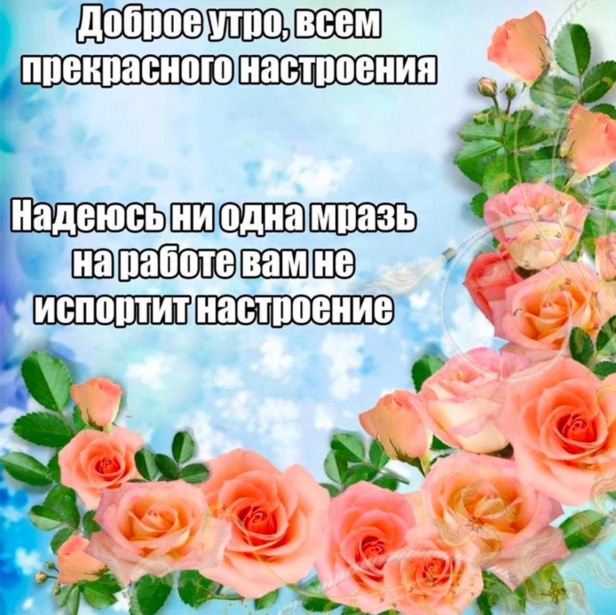Смеяться разрешено: порция здорового сарказма в мемах и смешных картинках Смеяться разрешено: порция здорового сарказма в мемах и смешных картинках
