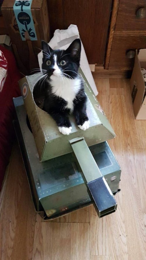 Прикольные картинки и различные фотоприколы Прикольные картинки и различные фотоприколы