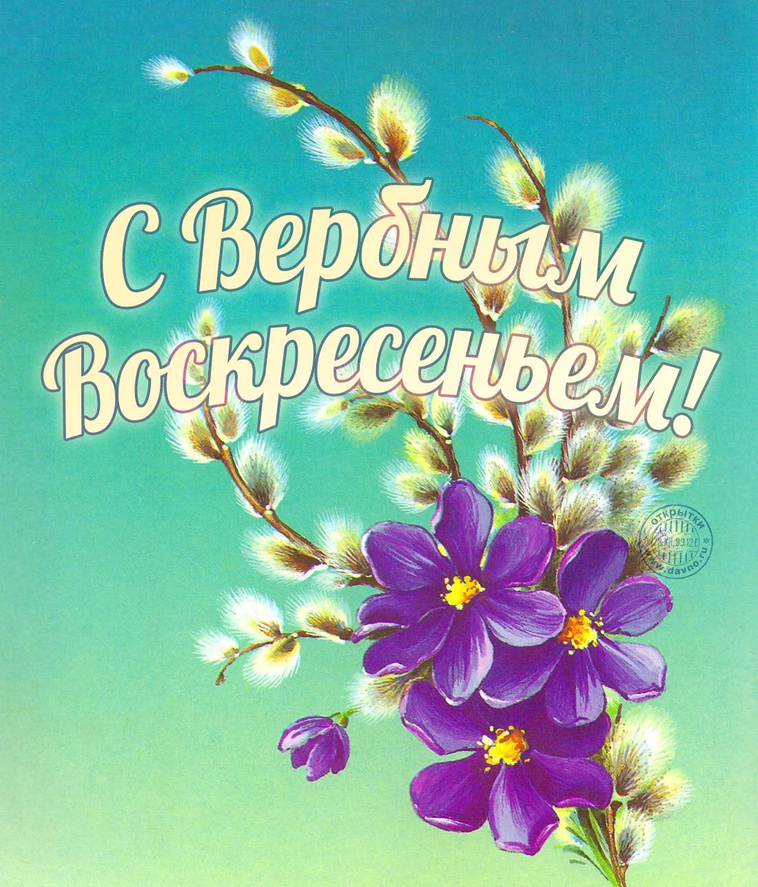 Красивые открытки с Вербным воскресеньем для родителей, бабушек и дедушек, свекрови, подруг — в общем, всех Вербным, Вербное, открытки, воскресенье, Христа, вербы, праздников, открыток, православные, близкими —, Однако, можно, небольшое, разрешает, употреблять, церковь, горячую, православная, застолье, шумных