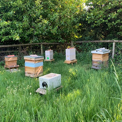 Дети Кейт Миддлтон и принца Уильяма идут в новую школу: что о ней известно Дети Кейт Миддлтон и принца Уильяма идут в новую школу: что о ней известно Монархии