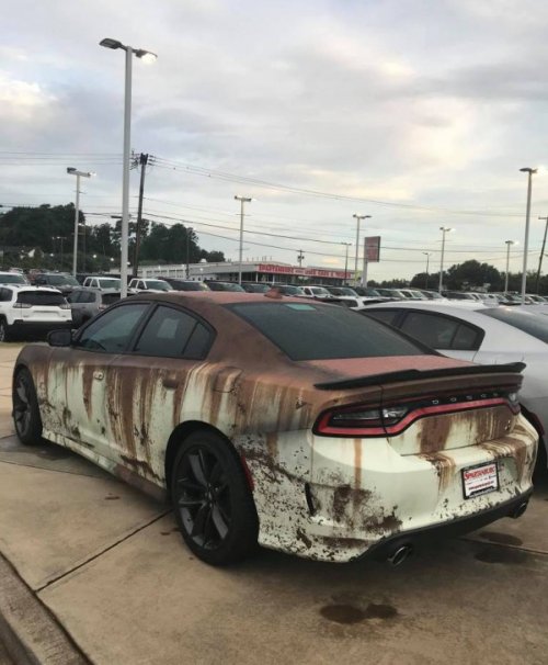 Dodge Charger с лучшей «противоугонной» системой автомобили,автоновости,машины,советы