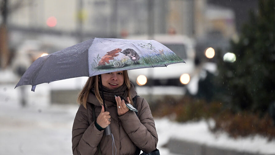 Небольшой снег и до 3°С мороза ожидается в Москве 29 января