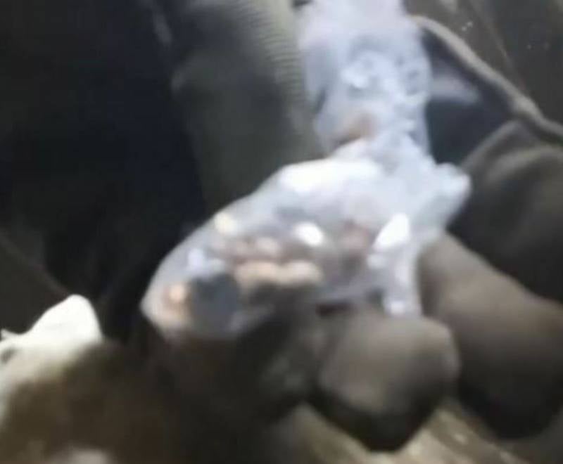 ПОСЛЕДНИЕ НОВОСТИ: 12.05.2023 ПОСЛЕДНИЕ НОВОСТИ: 12.05.2023 новости