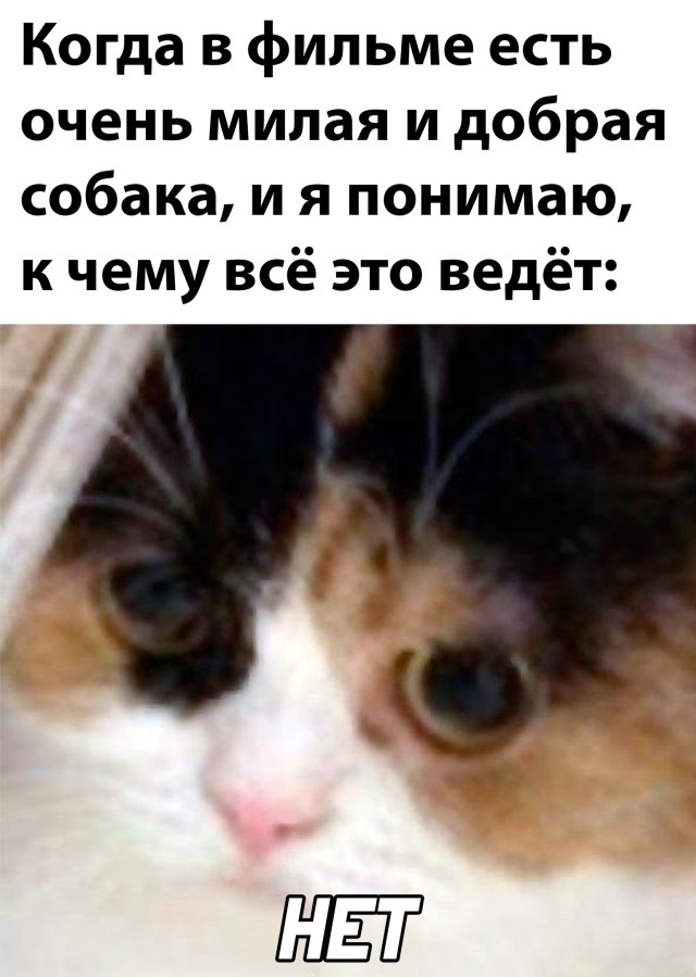 Подборка прикольных картинок  приколы,смешные картинки,юмор