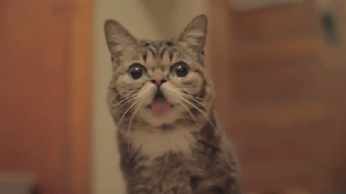 Подборка позитивных и веселых гифок Подборка позитивных и веселых гифок