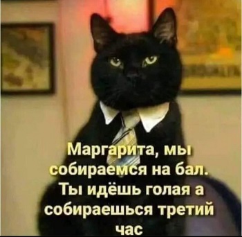 Дневник котэ (один день из жизни) Получилось, можно, мести, куртку, спать,  Утро Эта, разложила, инстинкт, точка, когтеточки…Отдохнуть, решила, Паззлы, Собирать, возможность, рожей, угламВечер Эта, зараза, забыла, гадство, пойму