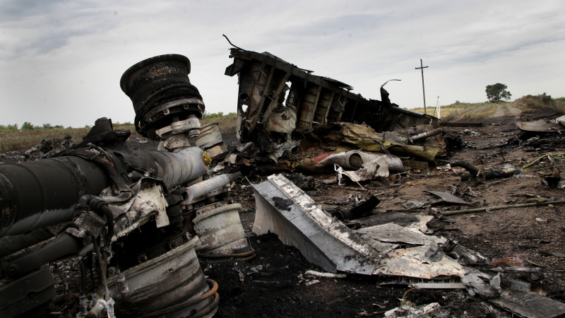 Обращение Нидерландов в ЕСПЧ по сбитому Boeing скрывает правду о вине Киева