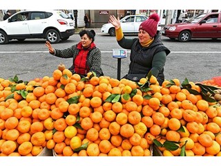 Тоска оранжевая. Почему до россиян не доходят дешевые абхазские мандарины? геополитика