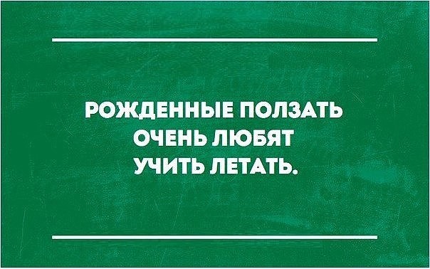 — Дорогой, ты помнишь, что у моей мамы завтра день рождения?...