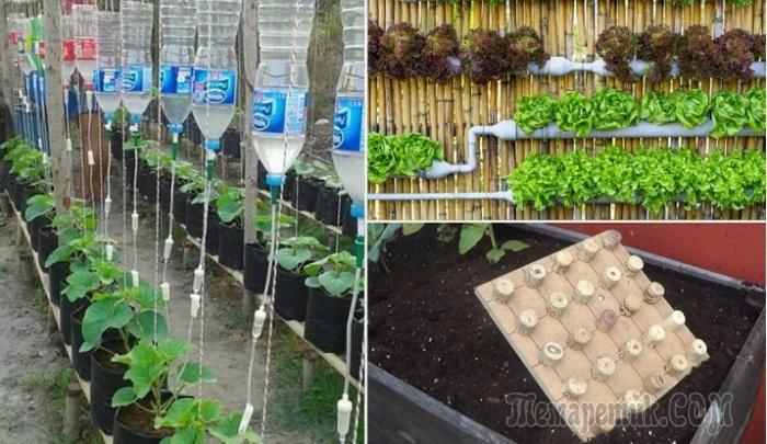 Клумбы: 100 фото красивых клумб, как сделать клумбу своими Клумбы: 100 фото красивых клумб, как сделать клумбу своими