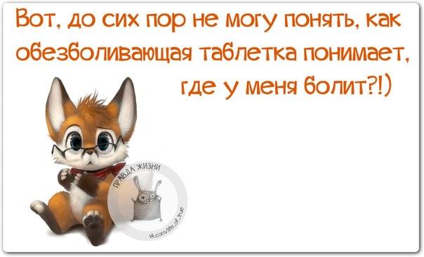 Веселые фразочки в картинках :) 