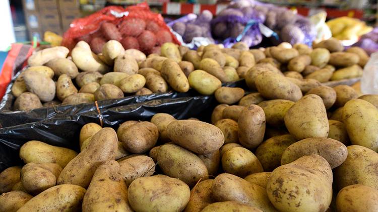 Замминистра Брыло назвал причины, по которым Белоруссия импортирует картофель
