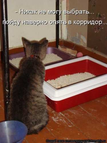 Лучшие котоматрицы за неделю